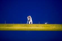 de Montan, Dogtroep